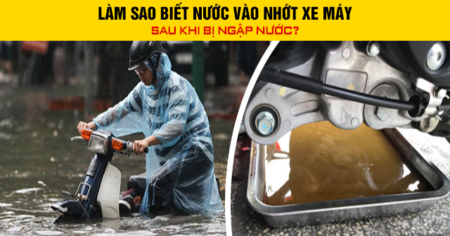 nhớt xe máy lẫn nước cà phê sữa nhớt xe máy lẫn nước cà phê sữa
