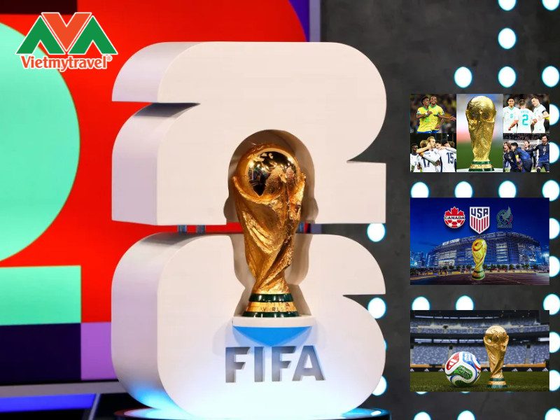 Biểu đồ yếu tố giá xe 2026 Biểu đồ yếu tố giá xe 2026