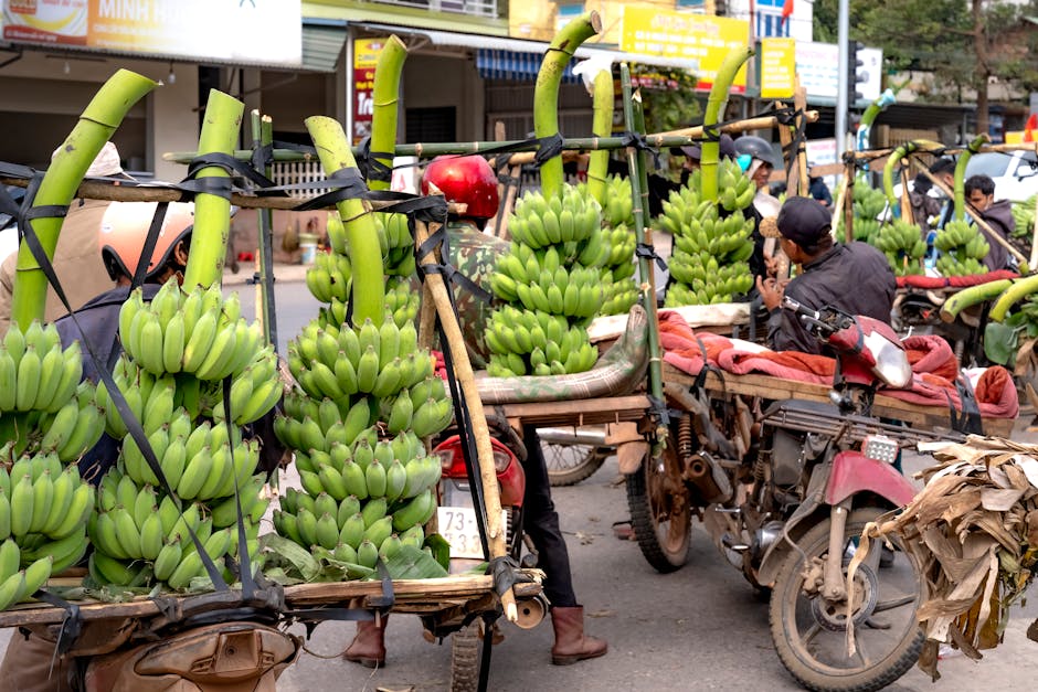 biker Việt Nam đoàn kết