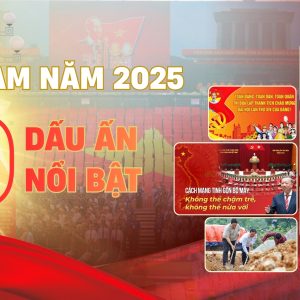 Dự báo thị trường xe máy Việt: Xu hướng mới nhất